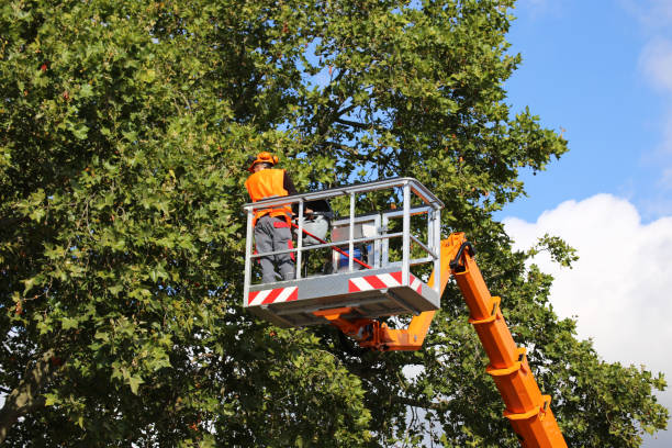 Mulching Services in Berrien Springs, MI